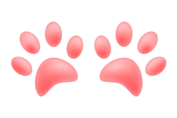 Pink of Pads of Cat Paws. Animal Paw Pri: A Practical Guide to Integration and Use